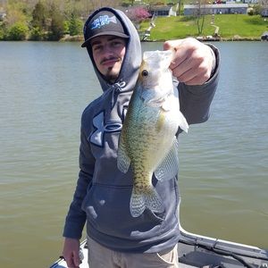 Meet your Posher, Aaron